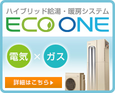 ecoone